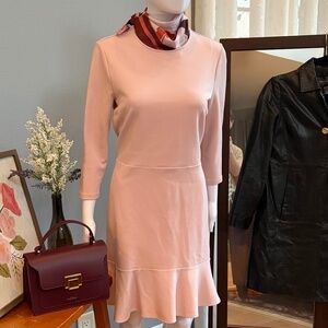 Ann Taylor - Soft Pink Long Sleeve Dress (Size 12P)